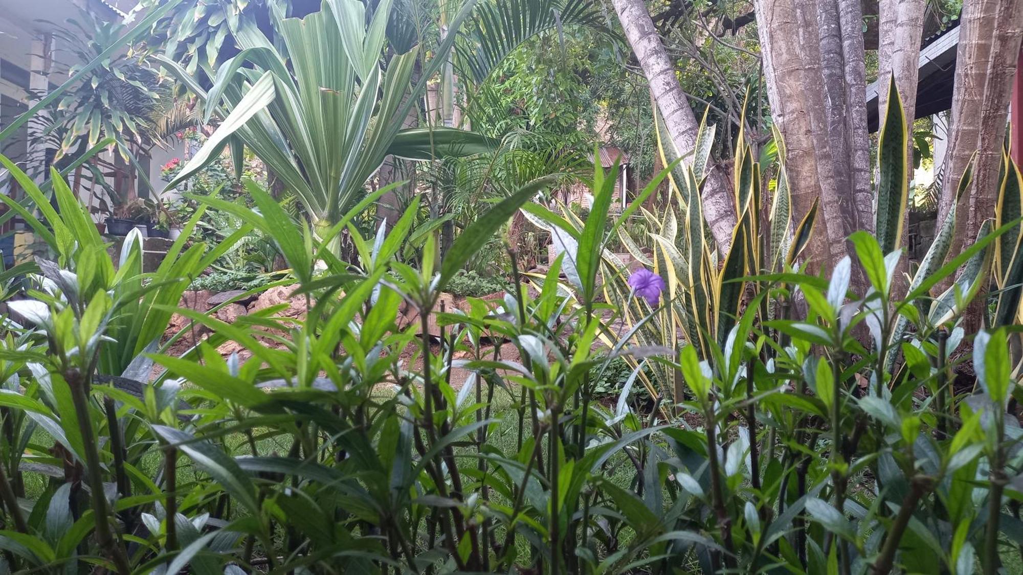 Bajo Guest house Labuan Bajo