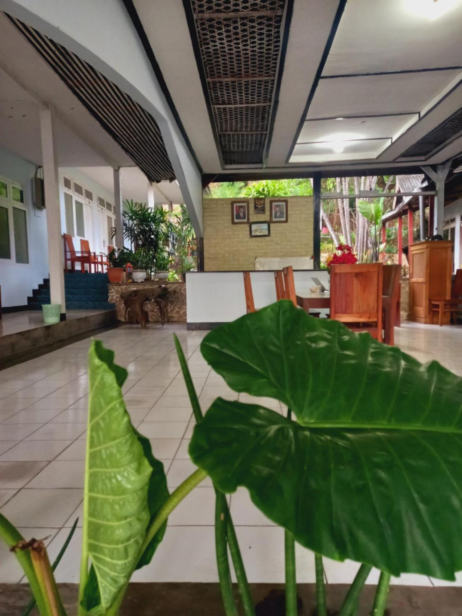 Bajo Guest house Labuan Bajo