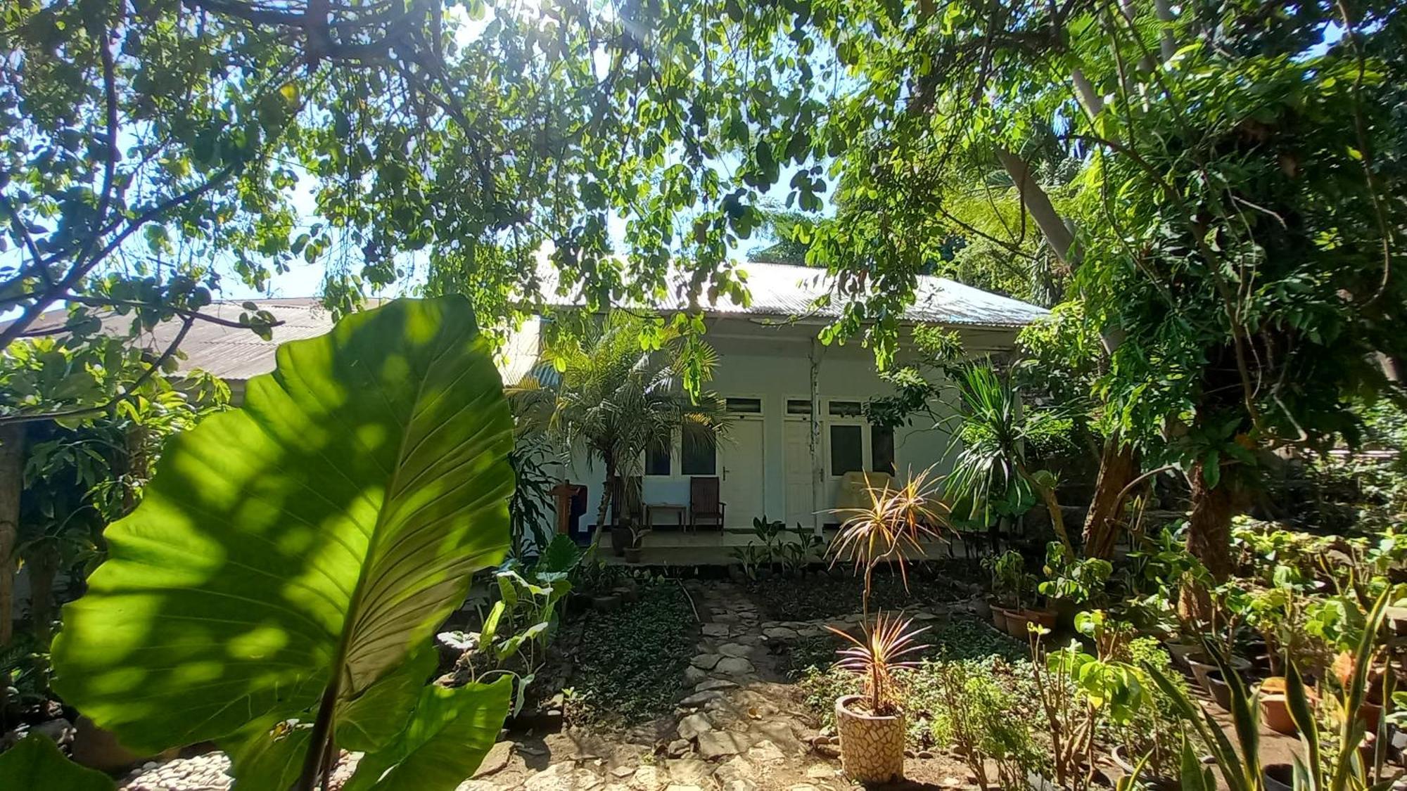 Guest house Bajo Labuan Bajo